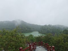 -广州白江湖森林公园