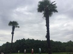-自然谷恐龙园