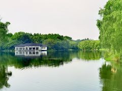 -上海共青森林公园