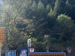 -高荡千年布依古寨旅游景区