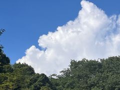-青山湖景区