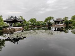 -无锡蠡湖国家湿地公园-蠡园