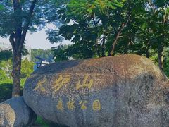 -火炉山森林公园