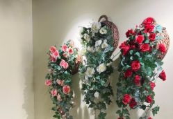 -变美丽半永久纹眉连锁·机器野生眉•洗眉