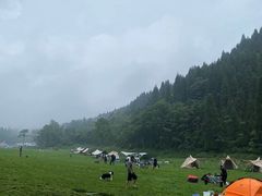 -武陵山森林公园