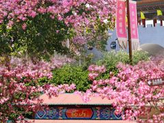 -东莞观音山旅游风景区