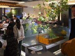 -杏花村水席楼·洛阳水席(老城十字街店)