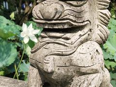 -上海醉白池公园