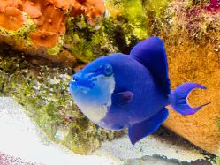 -Zoolung Zoolung动物主题公园(海信广场店)