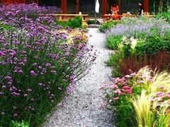 -前小桔亲子创意农场·草莓采摘·露营烧烤