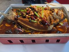 -美蛙四季(望京凯德茂店)