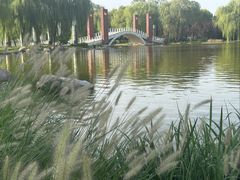 -石家庄市植物园