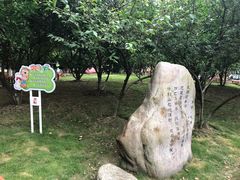 -双拥公园
