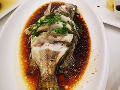 清蒸鮰鱼-桦立酒家(宜山路店)