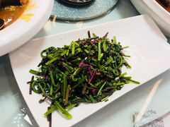 凉拌猴腿菜-胖姐渔村(中源大道店)