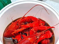 -囍榷·鲜美常州菜(恐龙园店)