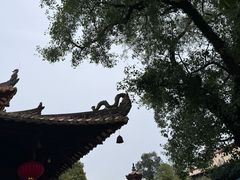 -光孝寺