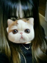 点击看大图 android_upload_pic-Grace studio