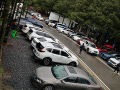 -重庆睡佛山森林公园