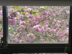 -江南大学(蠡湖校区)