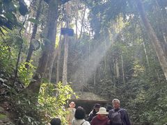-野象谷景区