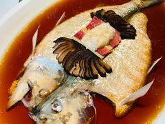 陈年花雕蒸鲥鱼-屋里厢上海菜馆