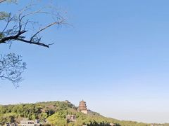 -京城小江南·北京烤鸭·江南土菜·白鱼(中关村店)