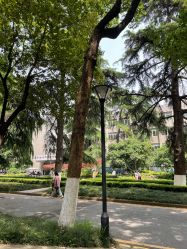 -南京医科大学友谊整形外科医院