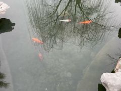 -清晏园