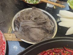 -肥龙火锅(南坪店)