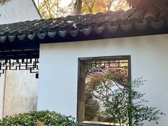 -秋霞圃