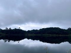 -海南热带雨林国家公园吊罗山景区