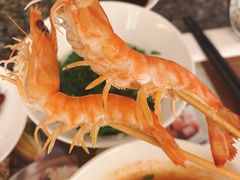 -辉哥火锅(虹桥路店)