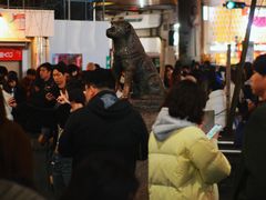 -涩谷全向十字路口