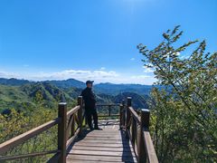 -大岭沟猕猴桃谷风景区