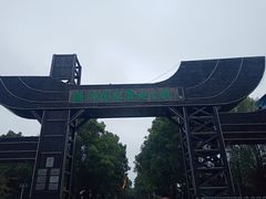 -溱湖国家湿地公园