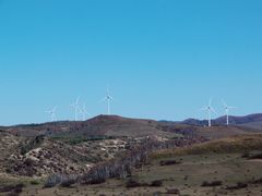 -塞罕坝国家级自然保护区