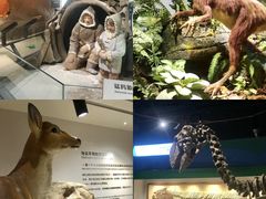 -正佳自然科学博物馆