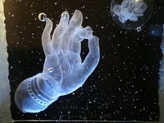 景点-上海琉璃艺术博物馆