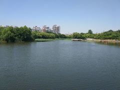 -新江湾城公园