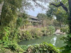 -西溪国家湿地公园