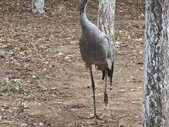 -艾溪湖湿地公园