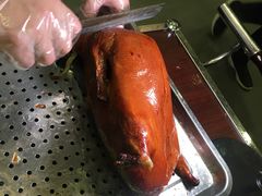 -紫光园(顺义店)