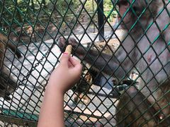 -藏龙百瀑风景区