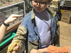 -酷以爬仙阁实体爬宠店·守宫·蜥蜴·专业繁育