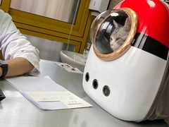 -申普宠物医院·心脏介入·心血管微创(总院)