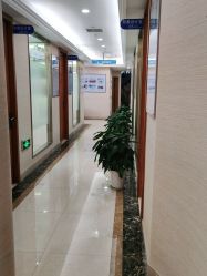点击看大图 -碧莲盛·不剃发植发