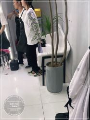 -M造型