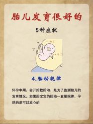 -海豚湾高端月子会所(黄浦店)