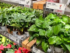 -鹿岛生活(熙地港店)